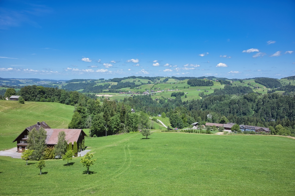 Partner-Ausflug